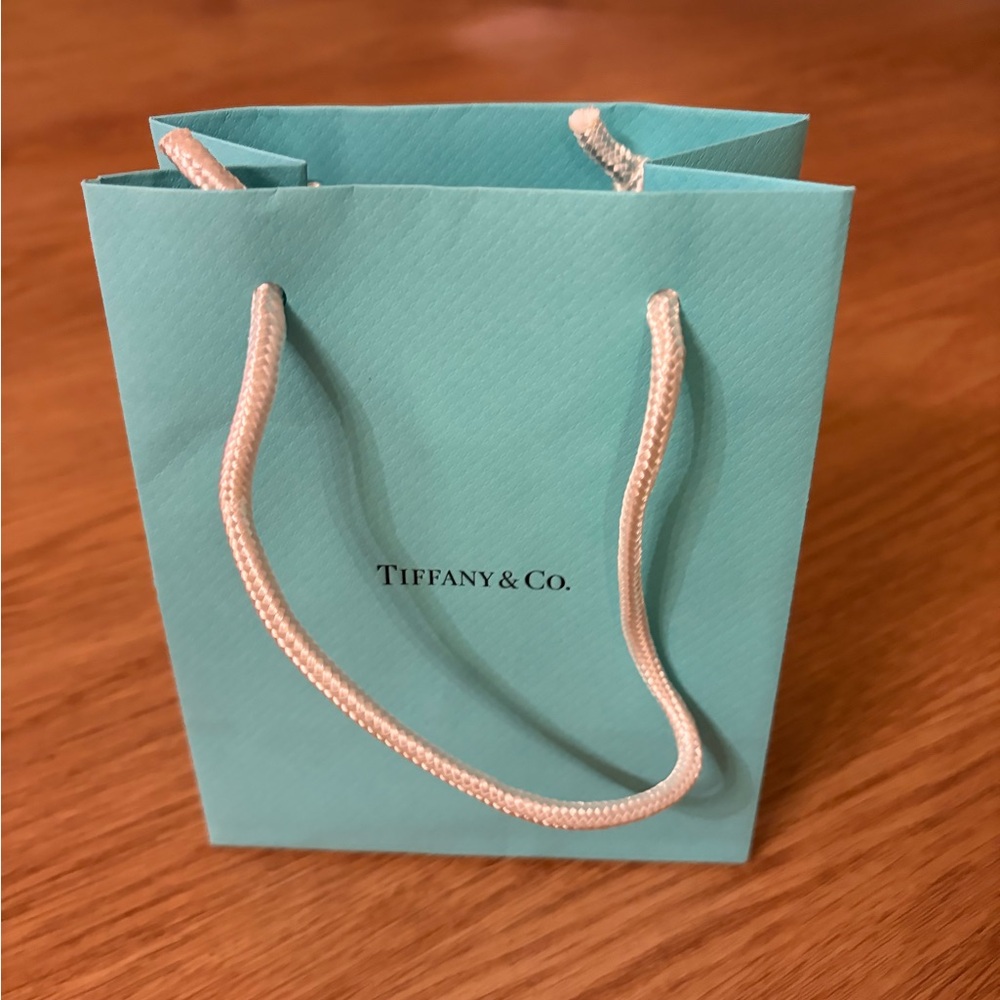 Tiffany & Co. Turquoise Shopping Bag